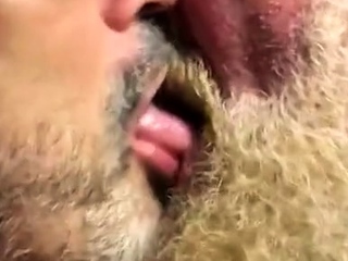 Hairy bears passionate kissing